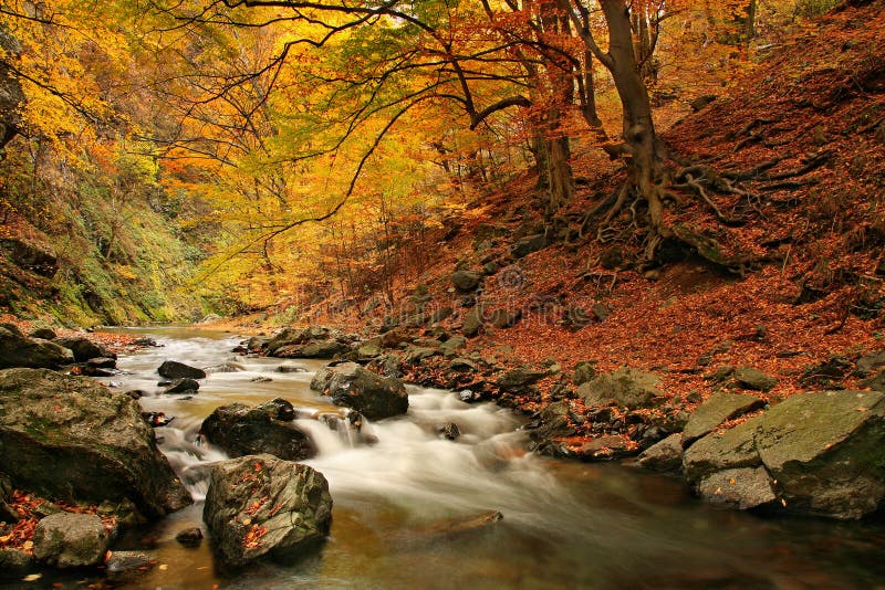 Ein Fluss zentral(berg) 