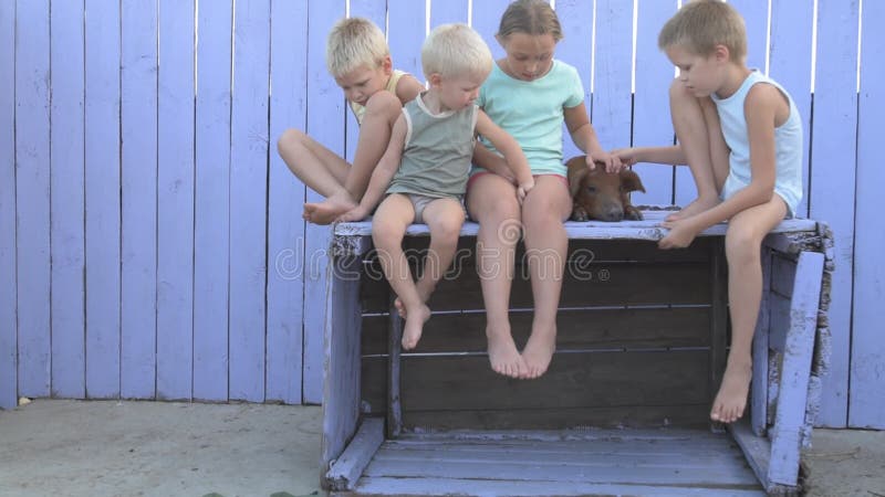 Bybarnlek i borggård av det lantliga huset med det röda svinet av Durocaveln Ungar ser ut på vakten med det lila trästaketet