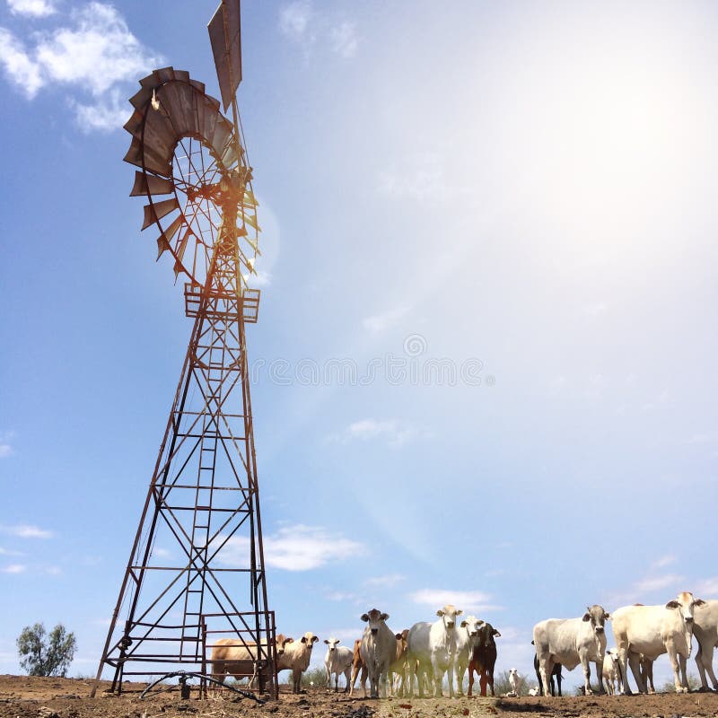 Cattle Station, North West Queensland. Cattle Station, North West Queensland