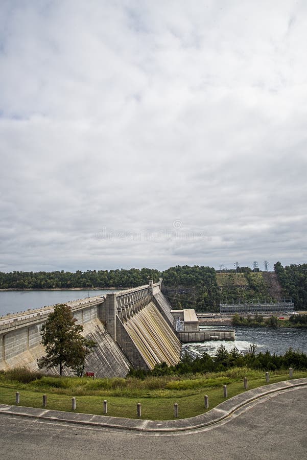 Byków tłumów tama zdjęcia stock Byków tłumów tama zdjęcia stock