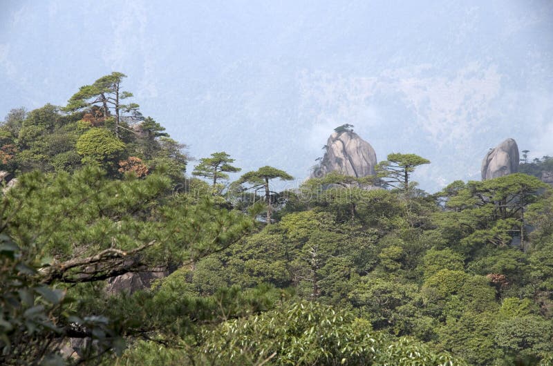 Mt Sanqing is one of the most famous national parks in China. Sanqingshan Jiangxi China. Mt Sanqing is one of the most famous national parks in China. Sanqingshan Jiangxi China