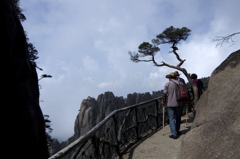 Mt Sanqing is one of the most famous national parks in China. Sanqingshan Jiangxi China. Mt Sanqing is one of the most famous national parks in China. Sanqingshan Jiangxi China