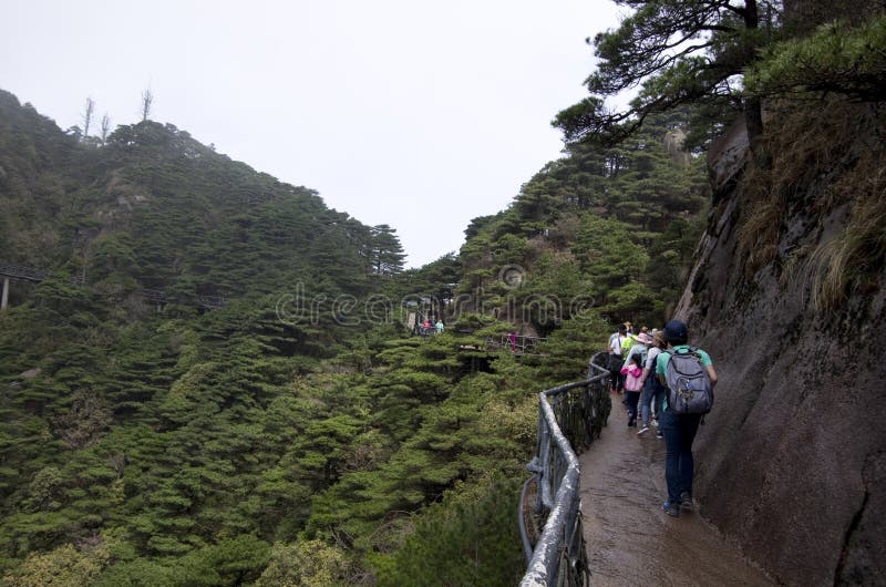 Mt Sanqing is one of the most famous national parks in China. Sanqingshan Jiangxi China. Mt Sanqing is one of the most famous national parks in China. Sanqingshan Jiangxi China