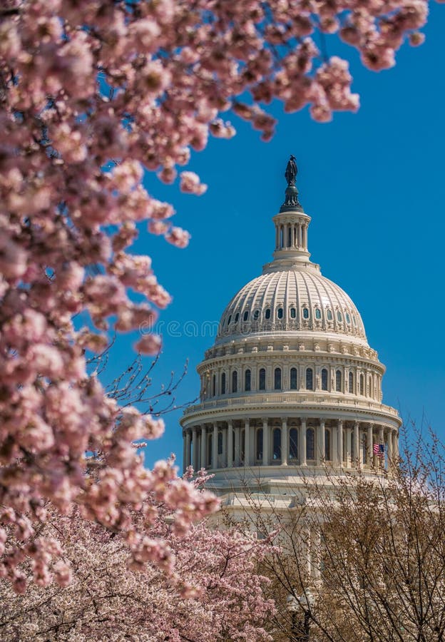 Bâtiment de capitol des USA pendant le printemps photo libre de droits Bâtiment de capitol des USA pendant le printemps photo libre de droits