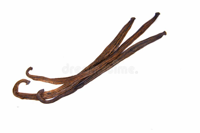 Bâtons de cosses de gousses de vanille d'isolement sur le blanc photographie stock Bâtons de cosses de gousses de vanille d'isolement sur le blanc photographie stock