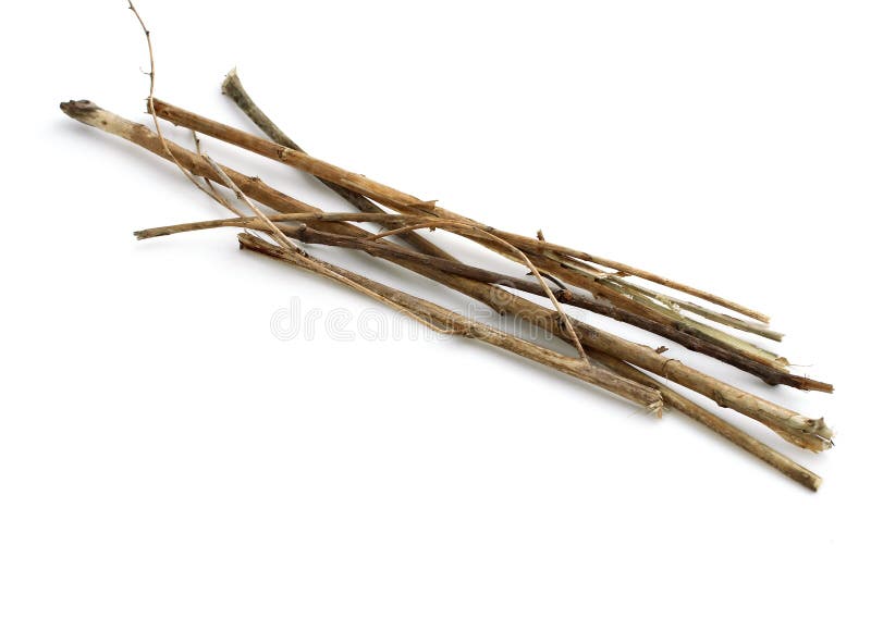 Bâtons et brindilles, paquet en bois sur le blanc images libres de droits Bâtons et brindilles, paquet en bois sur le blanc images libres de droits