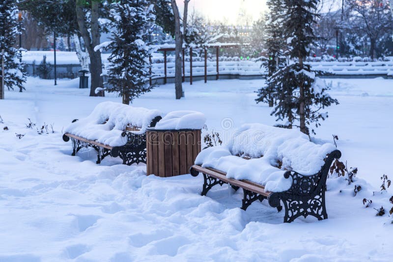 Bänkar som täckas med insnöat, parkerar under vinter fotografering för bildbyråer Bänkar som täckas med insnöat, parkerar under vinter fotografering för bildbyråer