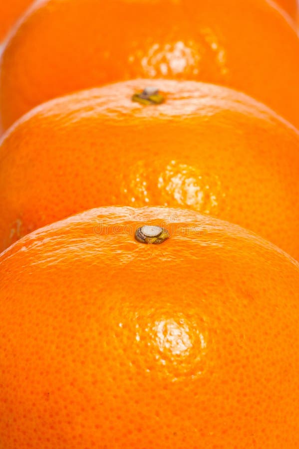 Bär fruktt bildorangen royaltyfri fotografi