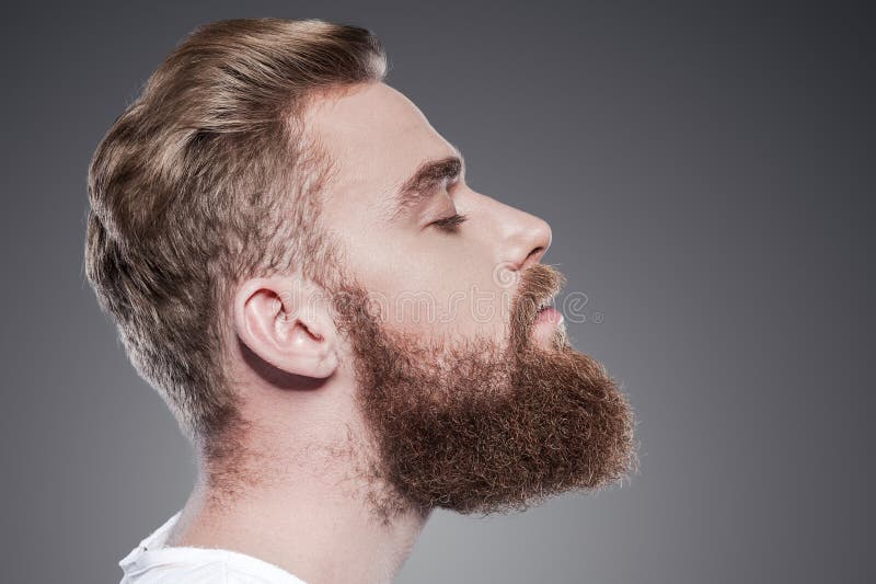 Bärtiges hübsches lizenzfreies stockfoto Bärtiges hübsches lizenzfreies stockfoto