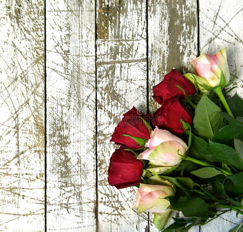 Bästa sikt av blommabuketten av röda och rosa rosor mot vita träplankor royaltyfri foto Bästa sikt av blommabuketten av röda och rosa rosor mot vita träplankor royaltyfri foto
