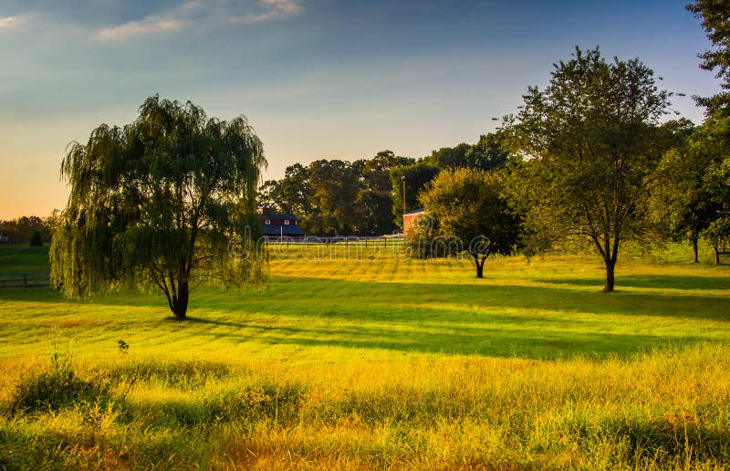 Bäume auf einem Gebiet auf einem Bauernhof in ländlicher Howard County, Maryland