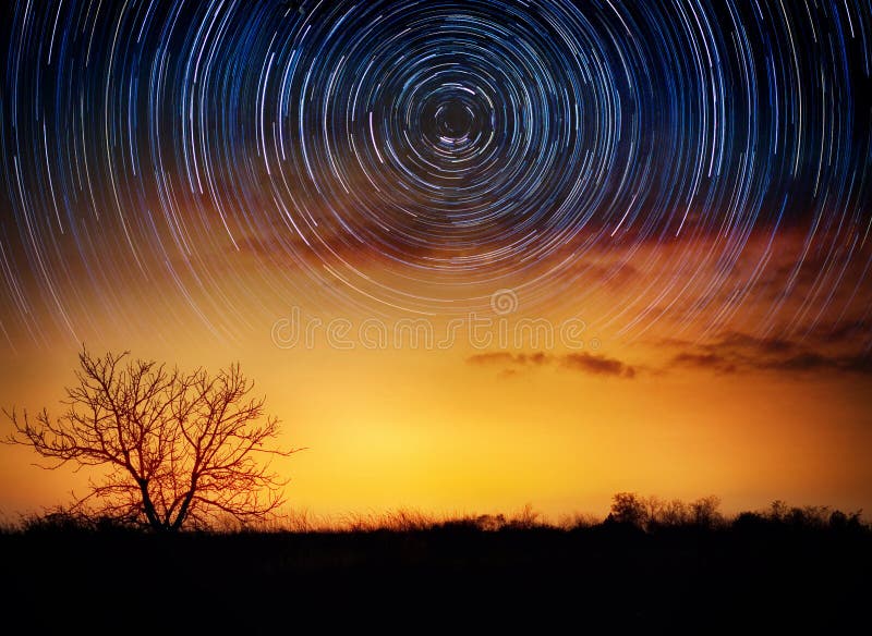 Trees on starry background with bright stars trails. Time lapse, long exposure. Elements of this image furnished by NASA. Trees on starry background with bright stars trails. Time lapse, long exposure. Elements of this image furnished by NASA.