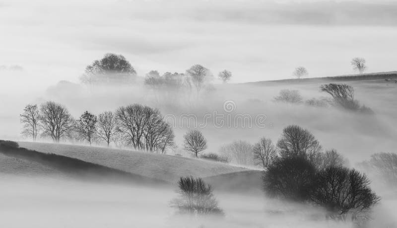Bäume im Nebel in der schönen kornischen Landschaft lizenzfreie stockbilder Bäume im Nebel in der schönen kornischen Landschaft lizenzfreie stockbilder