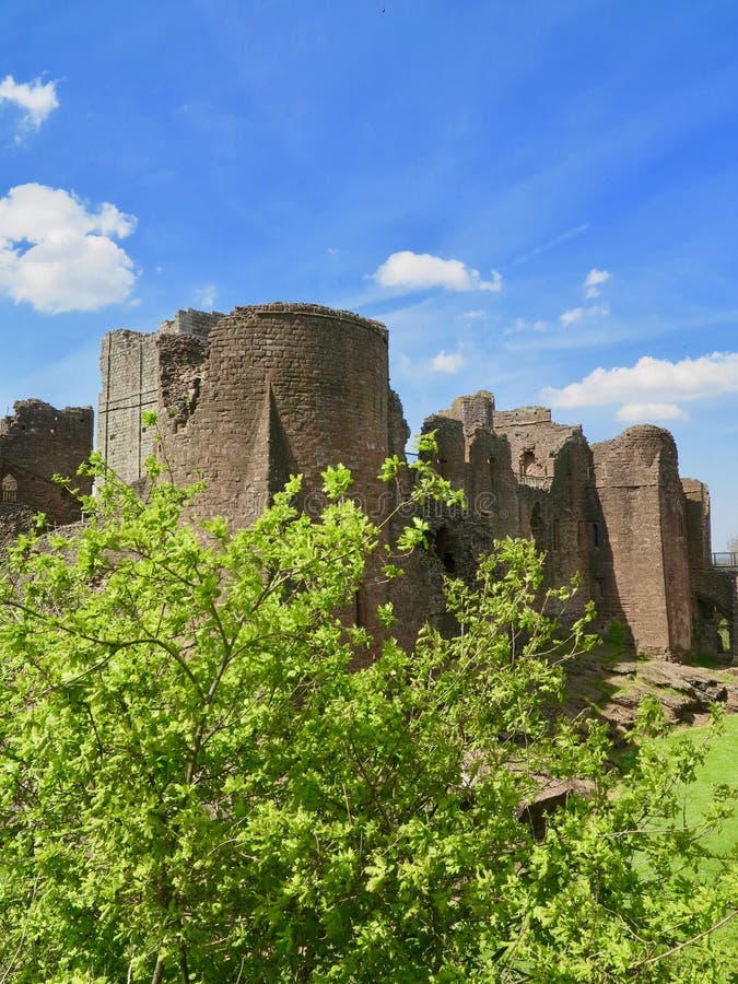 Bäume und das Schloss lizenzfreie stockfotos Bäume und das Schloss lizenzfreie stockfotos
