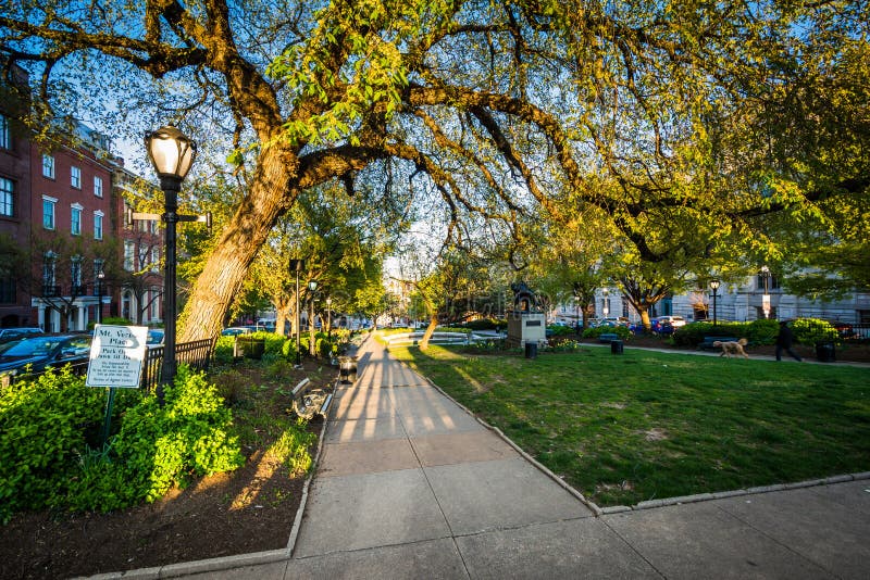 Bäume und Gehweg an einem Park in Mount Vernon, Baltimore, Maryland lizenzfreies stockfoto Bäume und Gehweg an einem Park in Mount Vernon, Baltimore, Maryland lizenzfreies stockfoto