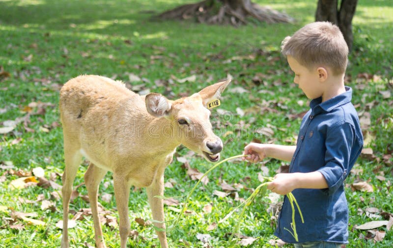 Bébé avec des cerfs communs images libres de droits Bébé avec des cerfs communs images libres de droits
