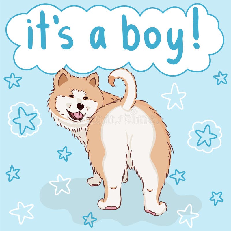 Bébé c`est une carte de voeux de garçon avec fureur mignon chien de dessin animé, drôle de familier akita sur fond bleu avec les