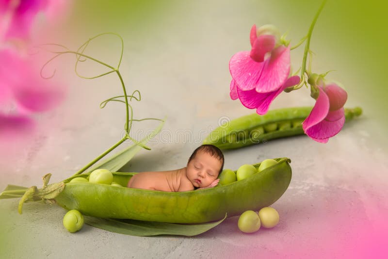 Bébé nouveau-né dans la cosse de pois