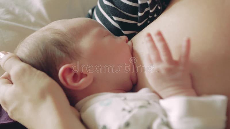 Bébé nouveau-né pendant allaiter