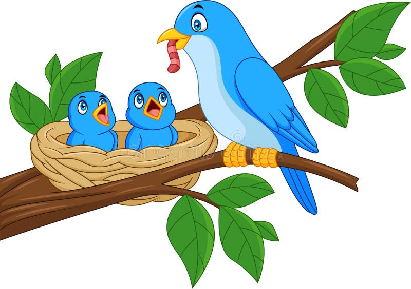 Illustration of Mother blue bird feeding babies in a nest. Illustration of Mother blue bird feeding babies in a nest