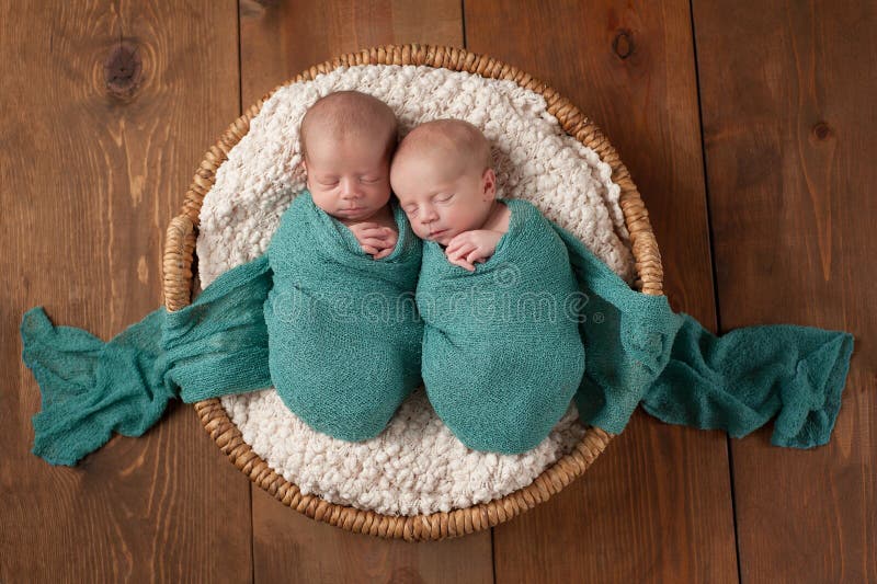 Bébés garçon jumeaux dormant dans un panier photographie stock libre de droits Bébés garçon jumeaux dormant dans un panier photographie stock libre de droits