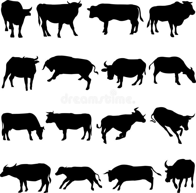 Farm Animal Cattle from all over the world. Farm Animal Cattle from all over the world