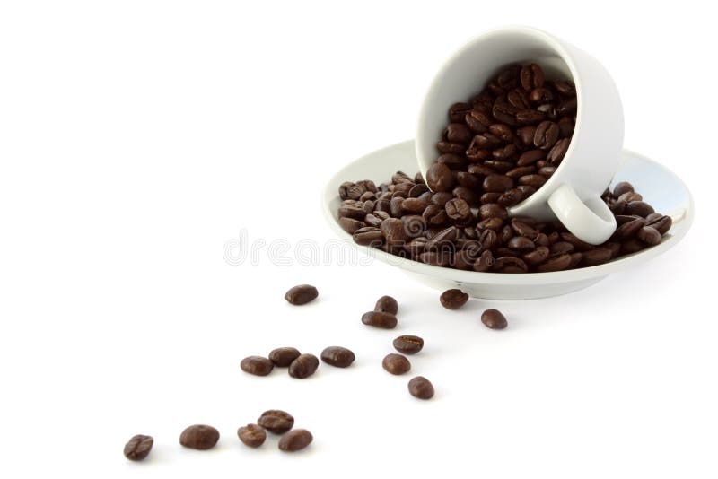 White coffee cup with whole coffe beans. White coffee cup with whole coffe beans