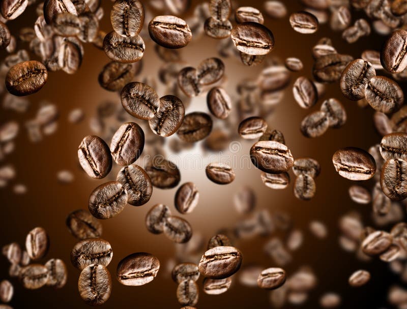 Bönor frukosterar ideal isolerad makro för kaffe över white arkivbilder