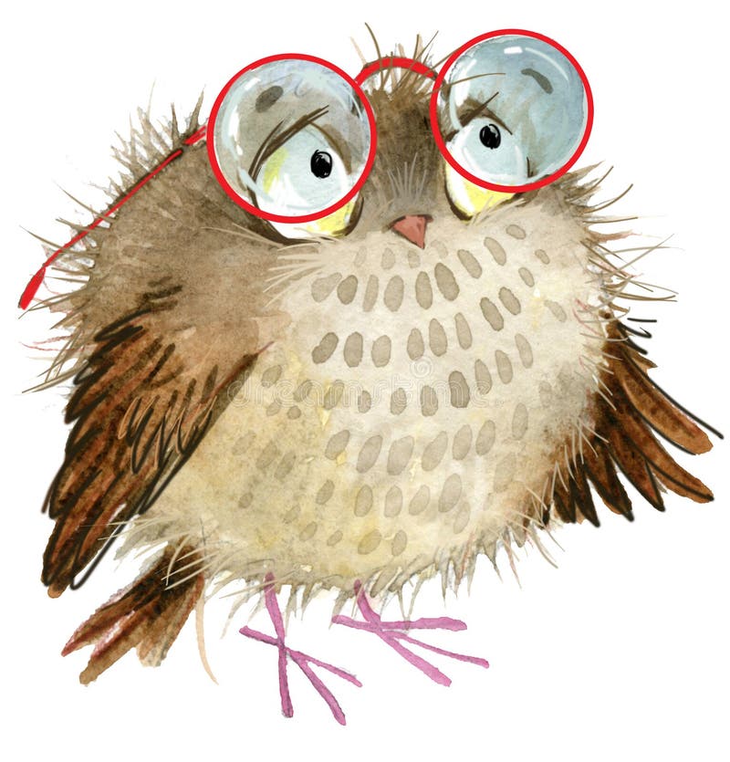Búho Buho lindo Pájaro de la historieta ilustración del vector Búho Buho lindo Pájaro de la historieta ilustración del vector