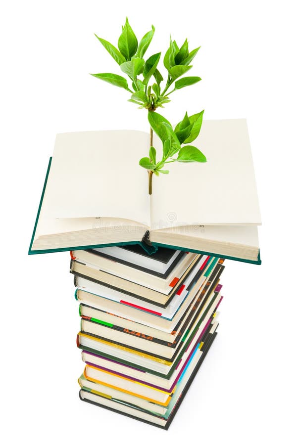 Bücher und Anlage Bücher und Anlage