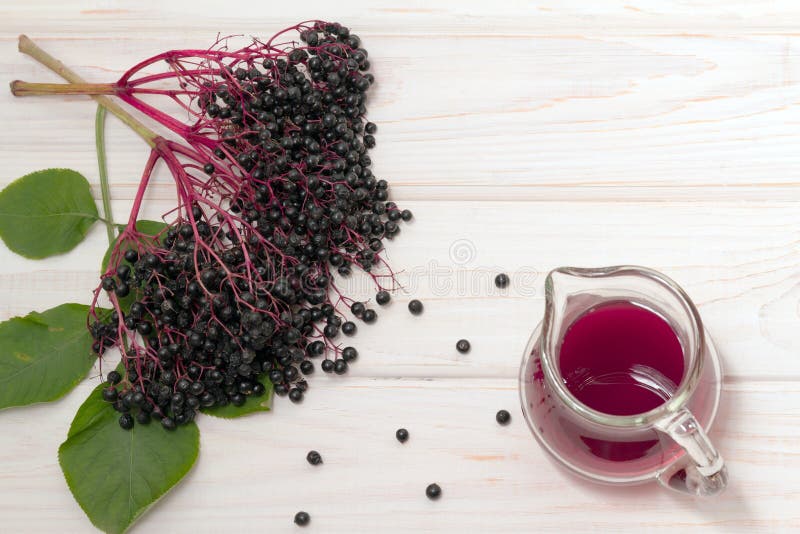 Bunch of elderberry and beverage of black berries. Bunch of elderberry and beverage of black berries