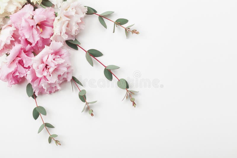 Bündel von schönen Blumen und von Eukalyptus verlässt auf weißer Tischplatteansicht flache Lageart
