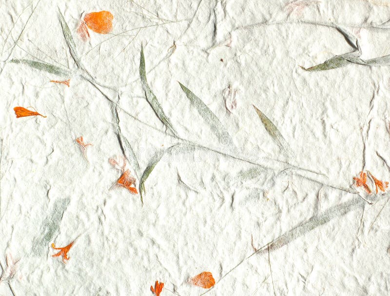 Büttenpapier des orange Blumenblattes