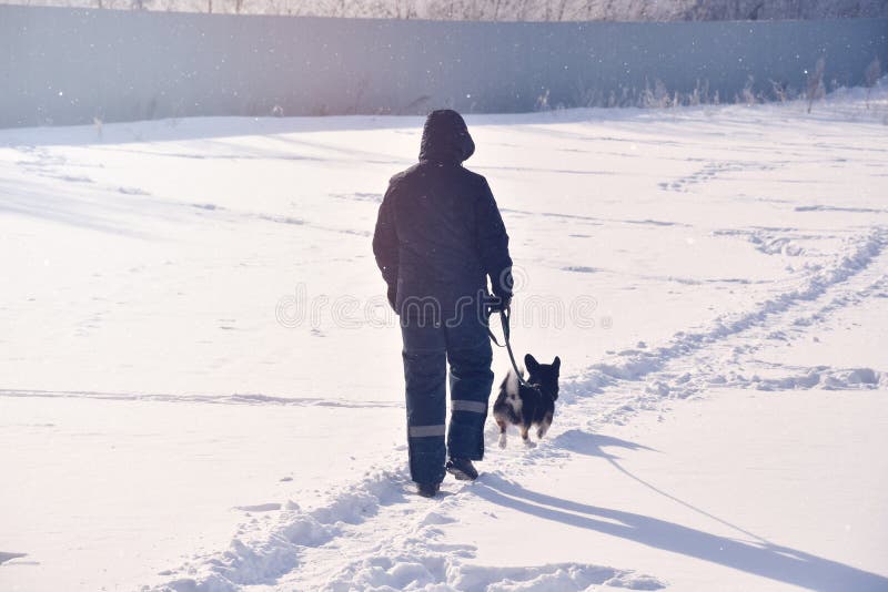 Bărbat cu față în haine călduroase mergând cu corghiu stock photography