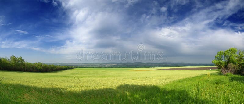 błękit śródpolna wielka nieba banatka fotografia royalty free błękit śródpolna wielka nieba banatka fotografia royalty free
