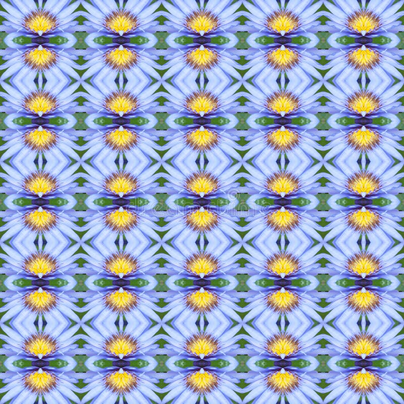 Błękitny Lotus w pełnym kwiacie bezszwowym royalty ilustracja Błękitny Lotus w pełnym kwiacie bezszwowym royalty ilustracja