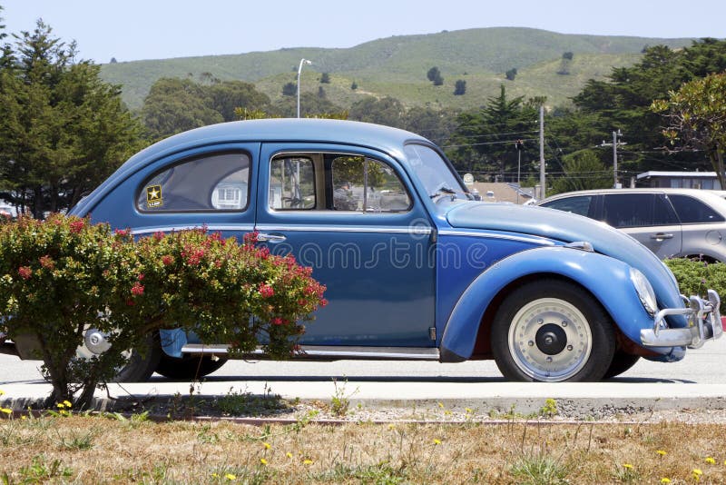 Błękitny Volkswagen Beetle Boczny Widok Stary ścigi Vw