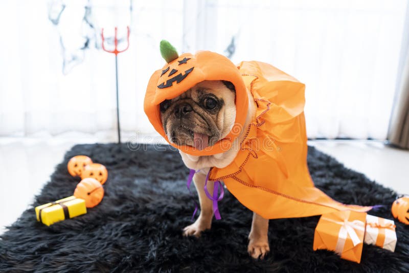 Crianças Na América Celebram O Dia Das Bruxas Engraçado Grupo De Amigos  Crianças Numa Fantasia De Halloween Na Festa De Halloween Foto de Stock -  Imagem de bonito, livro: 161170756