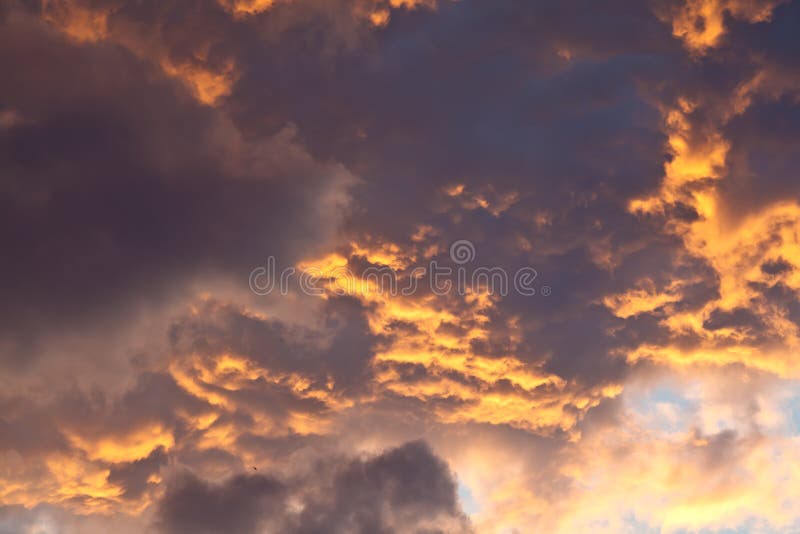 Céu azul com belas nuvens fofas sem chão panorama hdri sem costura