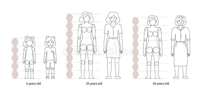 Cómo Dibujar a Una Mujer a Diferentes Edades Anatomía Ilustración del  Vector - Ilustración de ejemplo, standing: 198145062