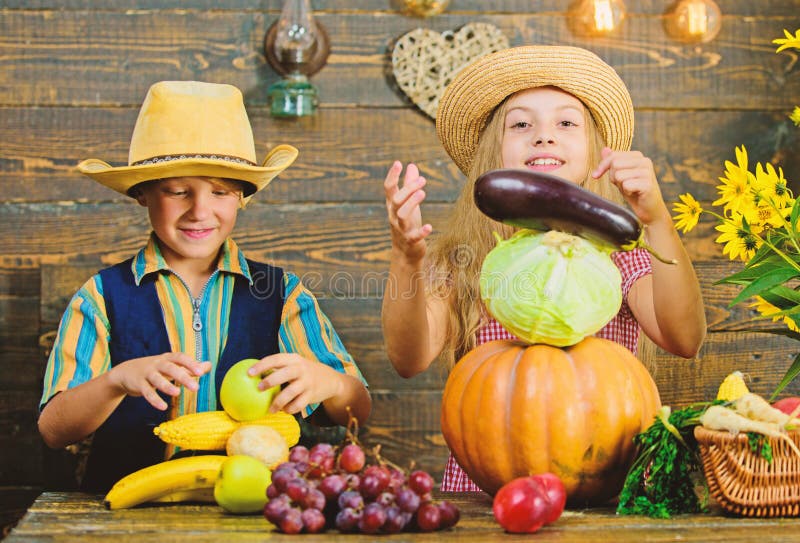 C?l?brez les vacances de r?colte Id?e de festival de chute d'?cole primaire Festival de r?colte d'automne L?gumes de jeu d'enfant photographie stock C?l?brez les vacances de r?colte Id?e de festival de chute d'?cole primaire Festival de r?colte d'automne L?gumes de jeu d'enfant photographie stock