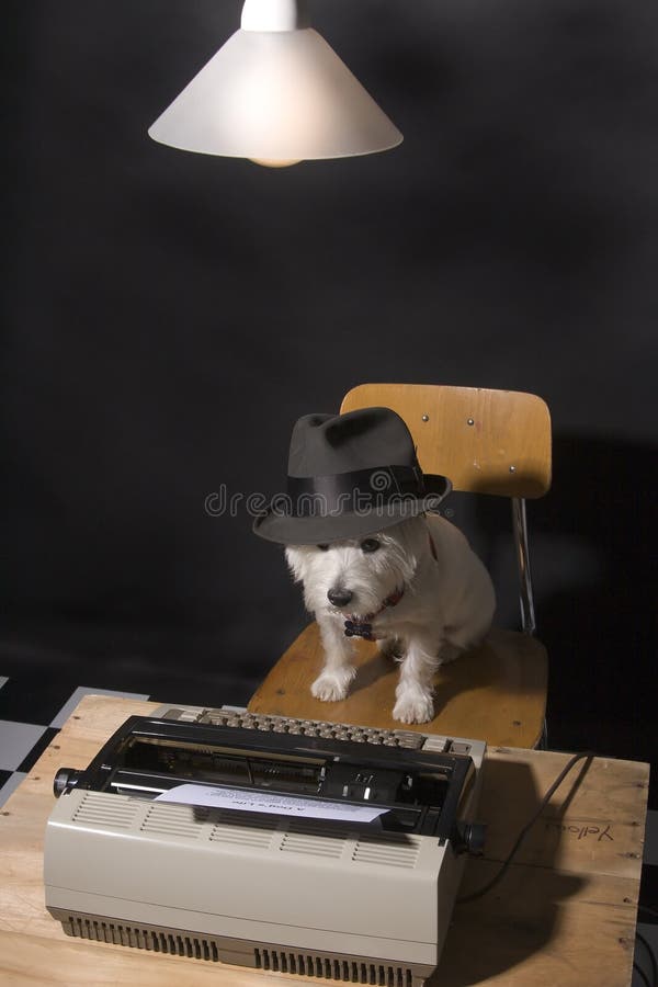 White West Highland Terrier with a hat on sitting a typewriter with a lamp hanging overhead. White West Highland Terrier with a hat on sitting a typewriter with a lamp hanging overhead