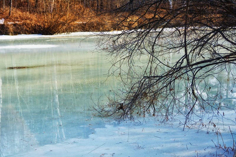 33c 1月横向俄国温度ural冬天 树枝在一条冻河