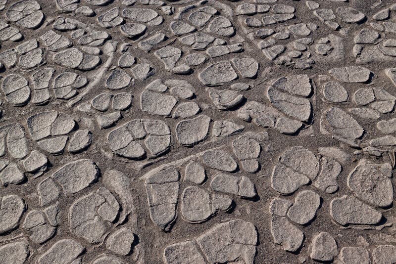 This image captures the intricate patterns of hardened sand adjacent to the Mesquite dunes in Death Valley National Park. This image captures the intricate patterns of hardened sand adjacent to the Mesquite dunes in Death Valley National Park.