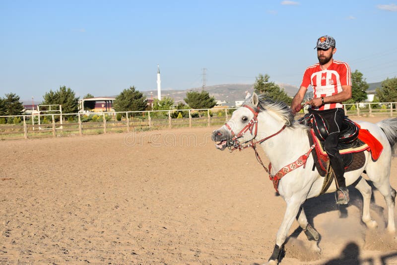 Caballo y jinete fotografía de archivo libre de regalías Caballo y jinete fotografía de archivo libre de regalías