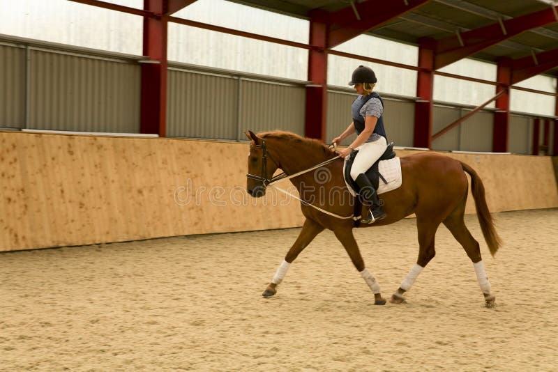 British warm blood dressage gelding being schooled by horse woman in indoor school. British warm blood dressage gelding being schooled by horse woman in indoor school