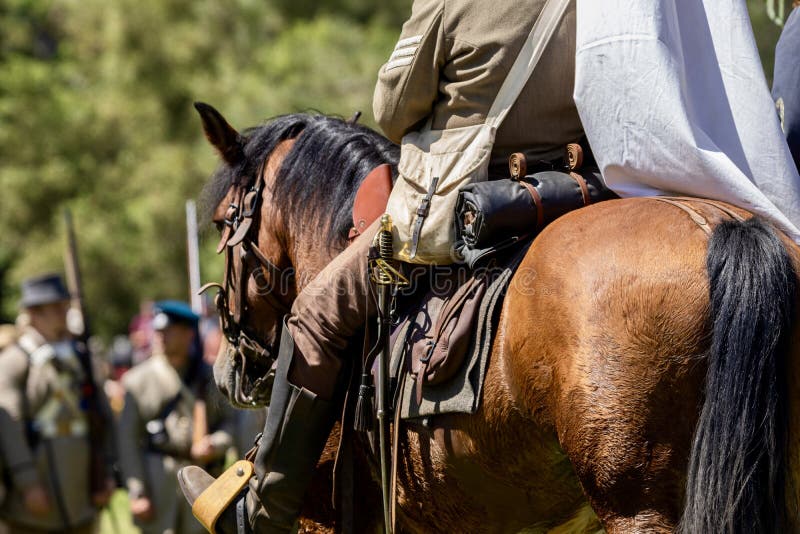 Caballo y jinete durante una recreación de la Guerra Civil estadounidense foto de archivo Caballo y jinete durante una recreación de la Guerra Civil estadounidense foto de archivo