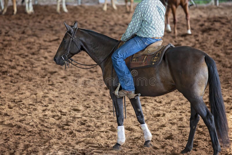 Caballo y jinete en competencia de corte. Un caballo y un jinete en una competición de corte ecuestre de estilo occidental