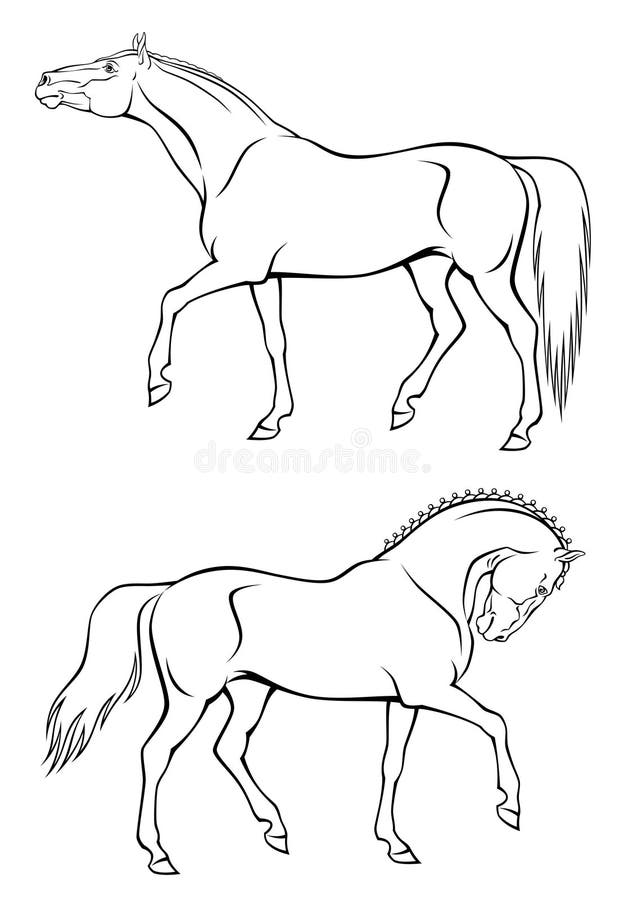 Caballos stock de ilustración Caballos stock de ilustración
