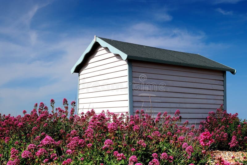 Cabana bonita da praia cercada por flores cor-de-rosa imagem de stock Cabana bonita da praia cercada por flores cor-de-rosa imagem de stock